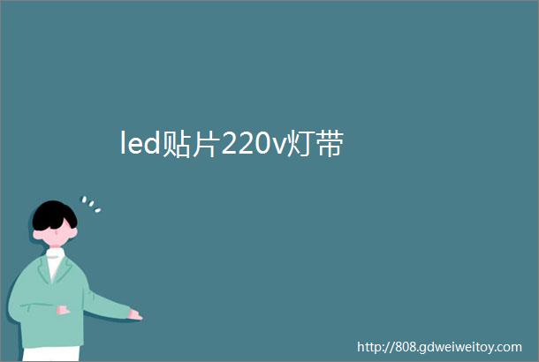 led贴片220v灯带